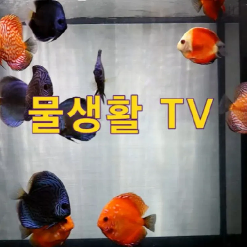 TV 물생활 (발리어부)