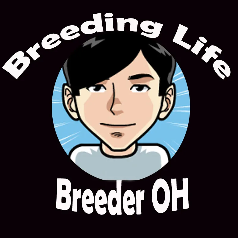 오브리더Breeder OH